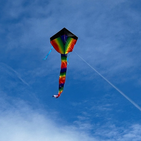 Kite - Picture 2 of 3